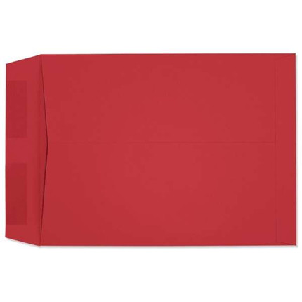 Starburst Catalog Red (9 x 12) 4958