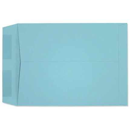 Prism Open End Catalog (9x12 Envelope) 4987