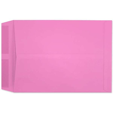 Starburst Catalog Pink (10 x 13) 5116