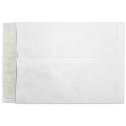 Tyvek Catalog Kwik-Tak (10 x 13) 5381