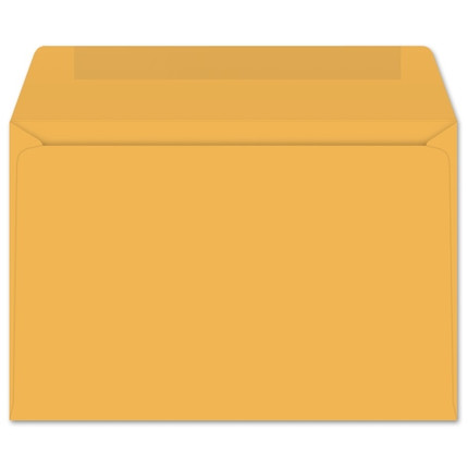 Prism Open Side Booklet (6x9 Envelope) 7382