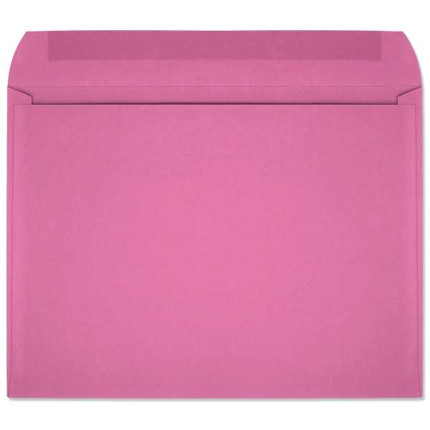 Starburst Open Side Booklet (9x12 Envelope) 7409