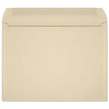 Prism Open Side Booklet (9x12 Envelope) 7411