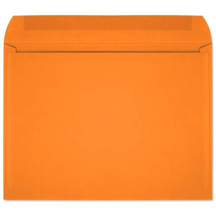 Starburst Open Side Booklet (9x12 Envelope) 7419