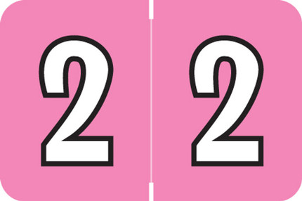 Amerifile L1000 Compatible Numeric Label '2' in Pink for Color-Coding Files