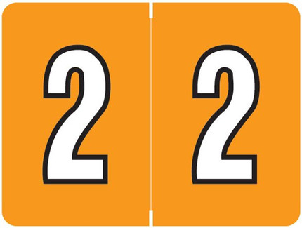 Datafile Numeric Labels, AL8700 Series - Number 2, Light Orange