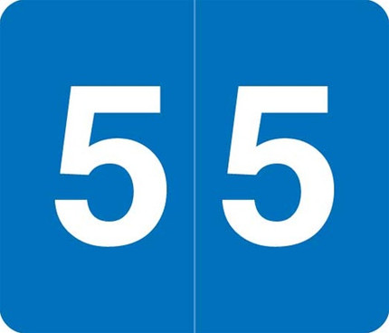 VA Hospital Numeric Color Coding Filing Labels, Number 5