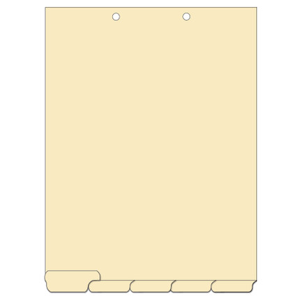 5-Tab Chart Divider, Letter Size, with Writable Tabs and Two Hole-Punches at the Top.