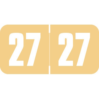Safeguard Year Label 2027 – Light Brown, SGYM-21, 3/4" x 1-1/2"