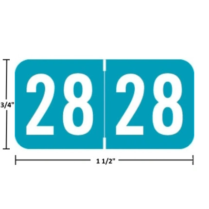 Acme Visible-compatible ACYM 2028 year label, light blue, 3/4 in x 1-1/2 in, wraparound, size guide shown (ACYM-28)
