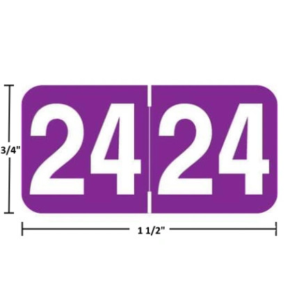 Ames AAYM year label, 2024, purple, 3/4" x 1-1/2", wraparound with white “24”; center-slit liner.