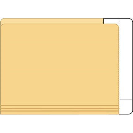 Extenda-Folder Strips, 9-1/2" x 3-3/4" (1" Tab Extension), White, 100/Box (55996)