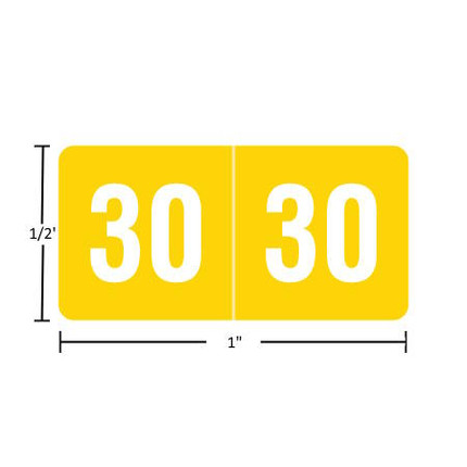 Smead-compatible ETS year label “2030” in black, single-face 1/2" x 1", polylaminated, permanent adhesive, 250 per pack