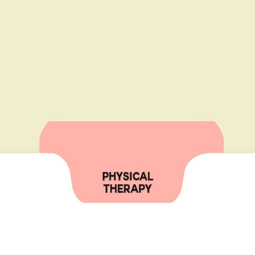 Chart Divider, Bottom Tab, Position 3, Pink, Physical Therapy, Pack/100