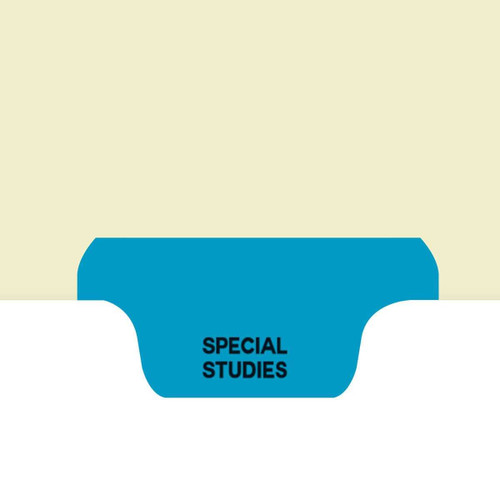 Chart Divider, Bottom Tab, Position 3, Blue, Special Studies, Pack/100