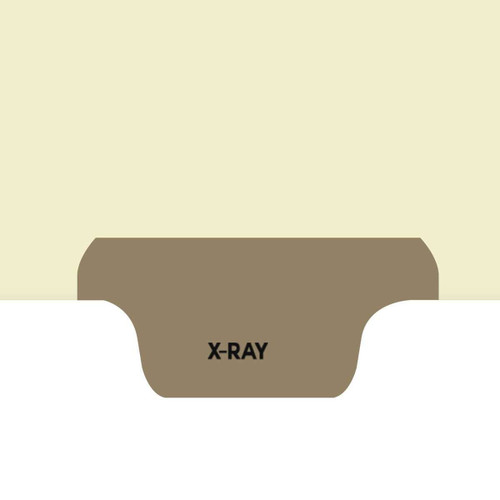 Chart Divider, Bottom Tab, Position 4, Gray, X-Ray, Pack/100