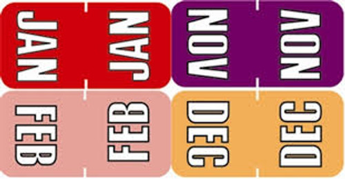 Barkley SYTT Series Top Tab Month Labels - Full Set (12 Packs), 3/4" x 1-1/2", Polylaminated, 252/Pack