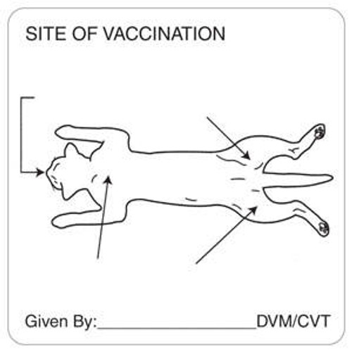 Vaccination Label, 2-1/2 x 2-1/2, 320/RL (V-AN452)