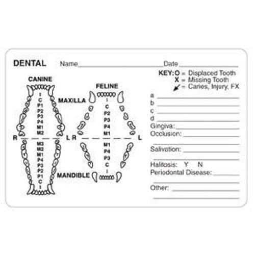 Dental Label, 4 x 2-5/8, 240/RL (V-AN650)