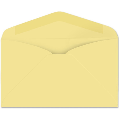 Prism Regular Envelope (No. 6-1/4) 0100