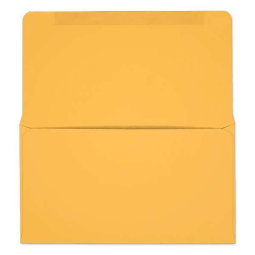 #6-1/4 Collection/Remittance Envelopes (W0253) 500/Box
