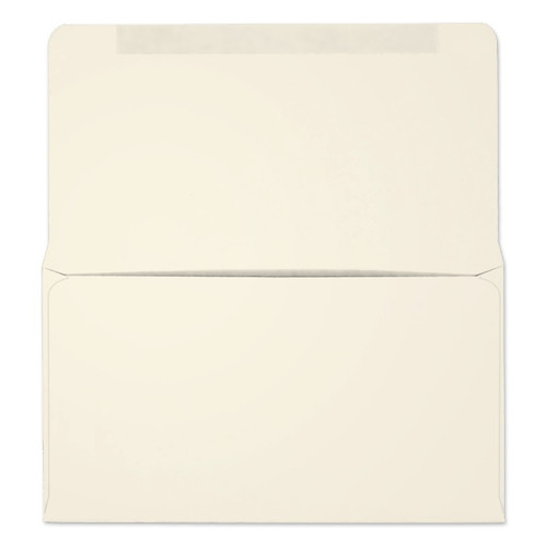 #6-3/4 Collection/Remittance Envelopes (W0260) 500/Box