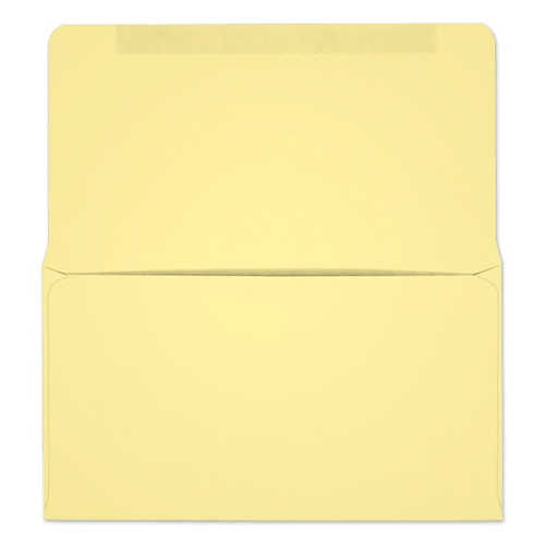 #6-3/4 Collection/Remittance Envelopes (W0263) 500/Box