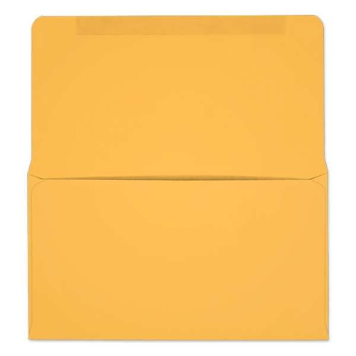 #6-3/4 Collection/Remittance Envelopes (W0264) 500/Box