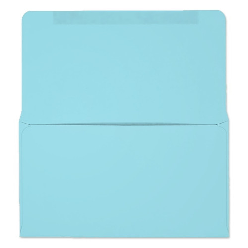 #6-3/4 Collection/Remittance Envelopes (W0267) 500/Box