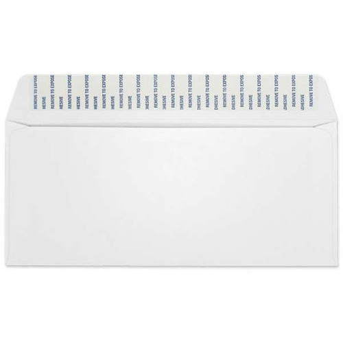 Western Sulphite Side Seam Regular Kwik-Tak Envelope (No. 10) 2590
