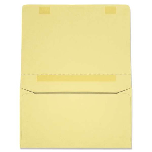 Dual Purpose Mailer (W3870) 500/Box