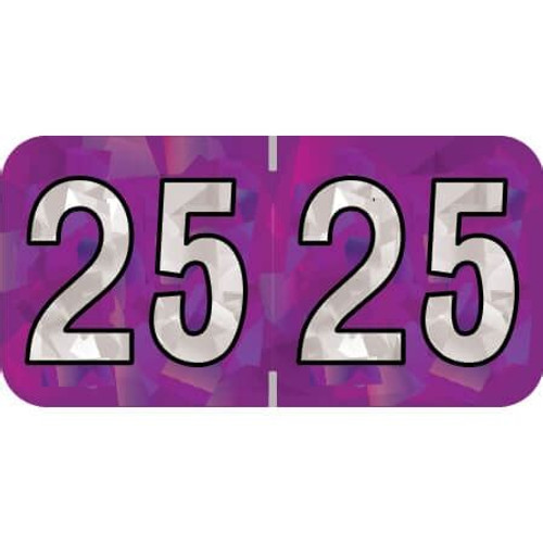 PMA Compatible Year Labels, 2025, Holographic Purple, 3/4 x 1-1/2, 500/RL