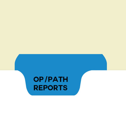 OP/Path Reports Chart Dividers, Bottom Tab, Position 3, Medium Blue Tab, 50/Box (I734) - Zoomed Image