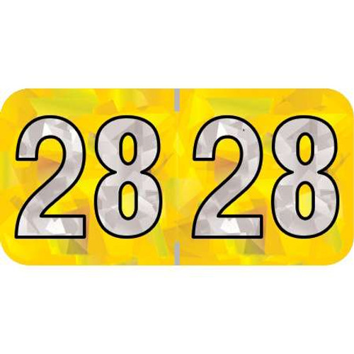 PMA Compatible Year Labels, 2028, Holographic Yellow, 3/4 x 1-1/2, 500/RL
