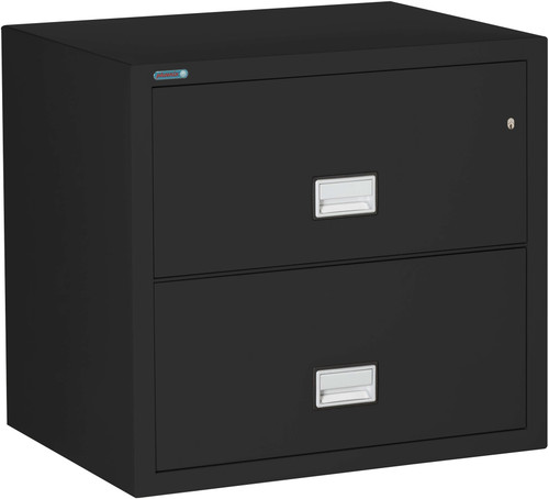 Phoenix 2-Drawer Lateral File Cabinet, 31 inches wide, 1-hour fireproof protection, gray finish