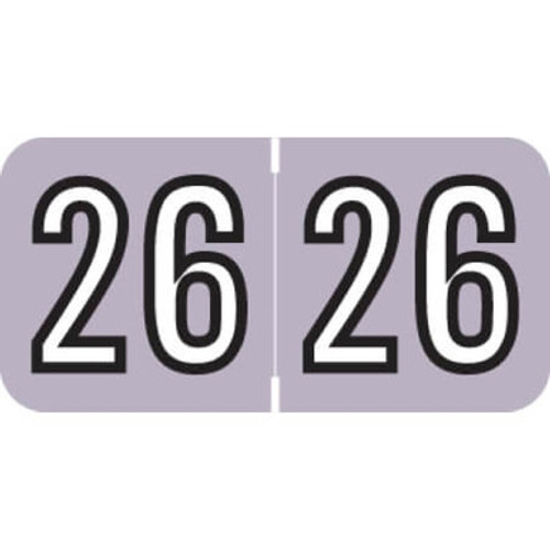 Barkley Year Labels – BAYM Series, 3/4 x 1-1/2, Color-Coded Years 2024–2029
