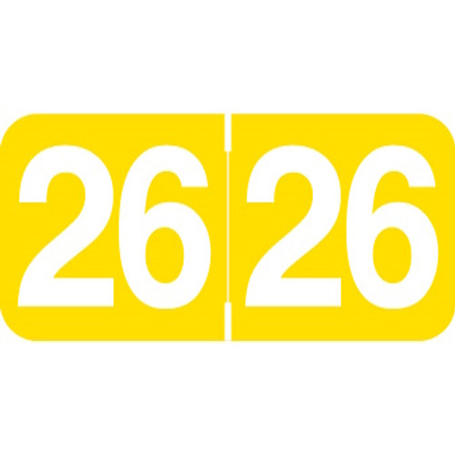 Ames Year Labels – AAYM Series, 3/4 x 1-1/2, Color-Coded Years 2024–2029