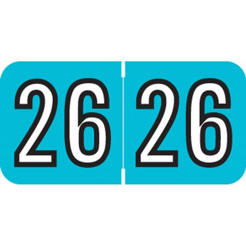Amerifile Year Labels – ARYM Series, 3/4 x 1-1/2, Color-Coded Years 2024–2029"