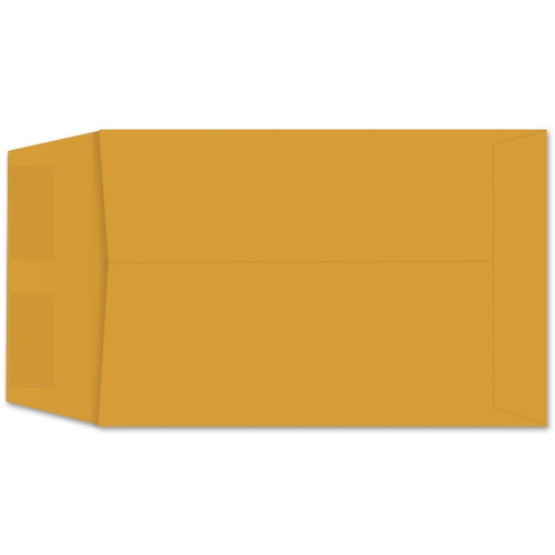 Roptex Catalog (5-1/2 x 8-1/4 Envelope) 4592