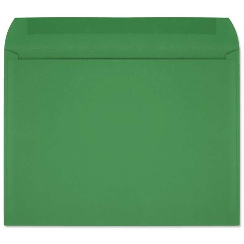 Starburst Open Side Booklet (9x12 Envelope) 7417