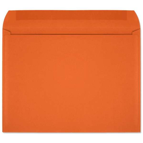 Starburst Open Side Booklet (9x12 Envelope) 7420