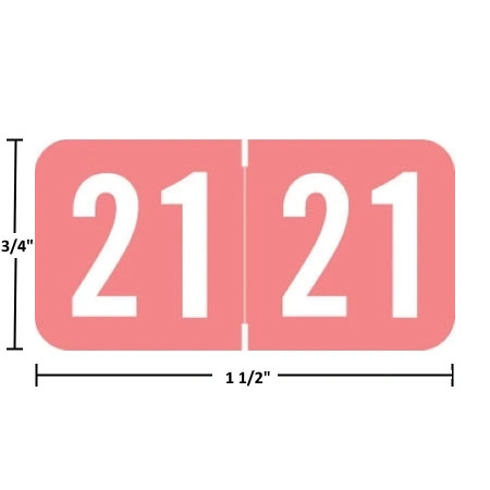 Acme Visible-compatible ACYM 2021 year label, pink, 3/4 in x 1-1/2 in, wraparound, size guide shown (ACYM-21)