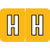 Amerifile ARAM-Series Label, Letter H