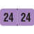 PMA Compatible Year Labels, 2024, Fluorescent Violet, 3/4 x 1-1/2, 500/RL