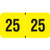 PMA Compatible Year Labels, 2025, Fluorescent Yellow, 3/4 x 1-1/2, 500/RL