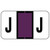 Jeter Alpha Labels 0200 Series Letter J Purple JAAM-J