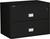 Black Phoenix 2-Drawer Lateral File Cabinet, 38 inches wide, 1-hour fireproof protection