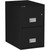 Phoenix 2-Drawer Vertical Fireproof File Cabinet, 25" Model, Black