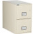 Phoenix LTR2W Letter Size Fireproof File Cabinet, 2-Drawer, Letter Size, 31" Deep, Putty, Closed