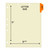 Chart Dividers, Side Tab, Position 1, History/Physical, Orange, 100/Box
